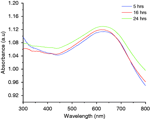 Figure 5. (Colour online) UV–Vis absorption spectrum of CuS nanomaterial synthesised at 150°C for different reaction time periods.
