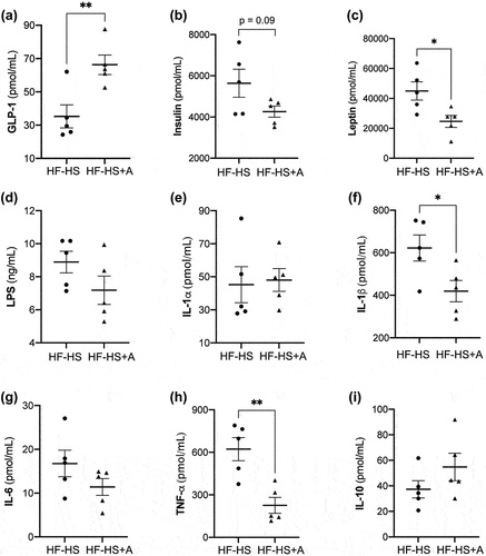 Figure 2. Effect of agavins supplementation on gastrointestinal hormones, LPS, and biomarkers of inflammation in high fat-high sucrose diet fed mice. (A) Concentration of GLP-1, (B) Insulin, (C) Leptin, (D) LPS, (E) IL-1α, (F) IL-1β, (G) IL-6, (H) TNF-α, and (I) IL-10. Data are shown as average ± SEM (n = 5/group). Circles and triangles represent individual rodents. Exact p-values indicate a trend to decrease (0.05 ≤ p value <0.10; unpaired t-test). Significance difference is indicated by * and ** (p < 0.05 and p < 0.01, respectively; unpaired t-test). (HF-HS) non-supplemented control mice and (HF-HS+A) mice fed with agavins supplementation.Figura 2. Efecto de la suplementación de agavinas en las hormonas gastrointestinales, LPS y biomarcadores de inflamación en ratones alimentados con una dieta alta en grasa y sacarosa. (A) Concentración de GLP-1, (B) insulina, (C) leptina, (D) LPS, (E) IL-1α, (F) IL-1β, (G) IL-6, (H) TNF-α, e (I) IL-10. Los datos se presentan como la media ± SEM (n = 5/grupo). Los círculos y triángulos representan roedores individuales. Los valores de p exactos indican una tendencia a disminuir (0.05 ≤ valor p < 0.10; prueba t independiente). La diferencia significativa se indica con * y ** (p < 0.05 y p < 0.01, respectivamente; prueba t independiente). (HF-HS) significa ratones control no suplementados y (HF-HS+A) significa ratones alimentados con un suplemento de agavinas.