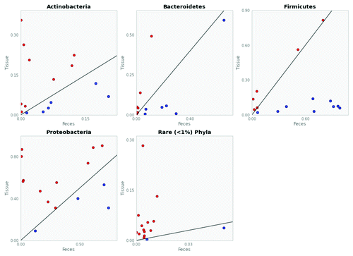 Figure 4. Rare phyla are consistently under-detected in fecal vs. tissue samples. Logarithmic plots of fecal vs. tissue sample microbial abundance for each of the four major gut phyla (Firmicutes, Proteobacteria, Actinobacteria, and Bacteroidetes) and rare phyla <1% compare tissue with fecal samples for individual patients. Each circle represents a single patient. For any given patient, if phyla abundance (OTUs per samples) of a fecal sample (x-axis) is greater than that of tissue (y-axis), it is depicted as a blue circle. Conversely, phyla abundance that is greater in a given tissue vs. fecal sample is represented as a red circle. Exact correlation between a fecal and tissue sample for any given patient would plot along the diagonal line present in each graph. In the “Rare Phyla” plot, clustering of the majority of points above the diagonal line reflects greater detection of rare phyla (<1% abundance) in tissue vs. fecal samples.