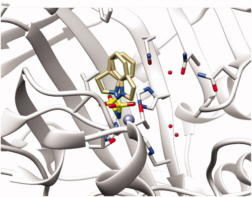 Figure 3. Co-crystal structure of fragment sulfamide 2v with hCA II (PDB code 7QSI).