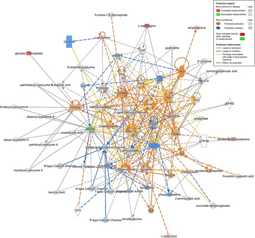 Figure 9 Network of “amino acid metabolism, cell-to-cell signaling and interaction, molecular transport” associated with key differential metabolites in the comparison of rtPA+GBE and CON groups in rats PFC with a score of 40 and 15 differential metabolites involved.