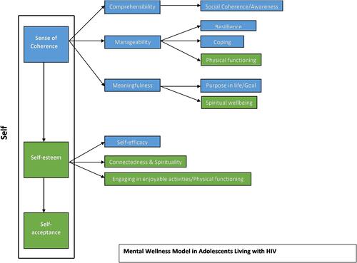 Figure 7 Model of mental wellness for adolescents living with HIV.