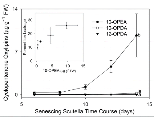 Figure 4. 10-OPEA is strongly induced and shows a positive correlation with ion leakage in maize scutella. Average (n = 4, ± SEM) 10-OPEA, 10-OPDA, and 12-OPDA (µg g−1 FW) levels in scutella during the first 14 d of seedling development. (Insert) Scatter plot with bidirectional error bars showing percent ion leakage and 10-OPEA increases over the 14 d time course. Different letters (a-b) represent significant differences (All ANOVA P < 0.05, Tukey test corrections for multiple comparisons).
