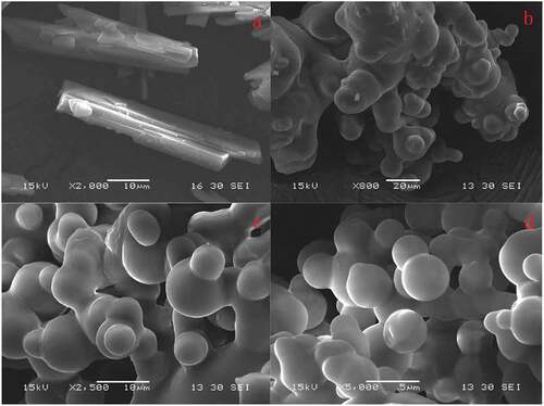 Figure 1. SEM of RES (a), 0% SRAS/RES (b), 5% SRAS/RES (c), and 10% SRAS/RES (d)