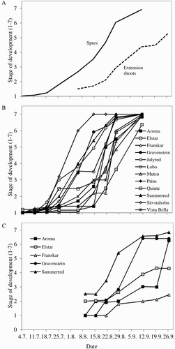 Figure 5. Time courses of floral morphogenesis for 12 apple cultivars in an experimental orchard at Ås, Norway, in the year 2013. (A) Total averages including all cultivars. (B) Individual cultivar curves for spurs. (C) Individual cultivar curves for extension shoots. For spurs, each data point represents the mean of five buds per cultivar; and for extension shoots, the mean of all buds of three shoots per cultivar.