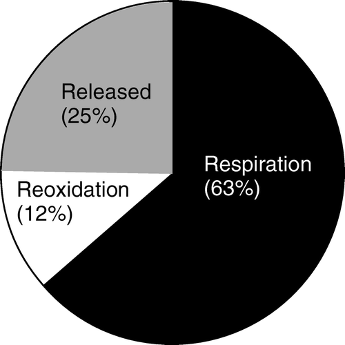 Figure 30.  The relative importance of processes responsible for consuming the O2 produced during 12 h light exposure of a microphytobenthic community. The ‘respiration’ term includes photorespiration (data from Fenchel & Glud Citation2000).