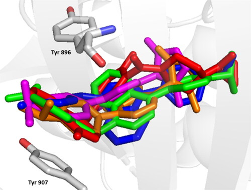 Figure 3. Comparative binding positions of compound 6 (green), compound 13 (blue), compound 19 (magenta), compound 20 (orange) and olaparib (red) bound to PARP-1 (7aad) active site.