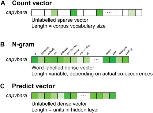 Figure 2. Word representation in each model family. A: In a count vector model, a word's representation is an unlabelled, sparse vector of length equal to the number of unique words in the corpus. B: In an n-gram model, a word's representation is a labelled, dense list of nonzero co-occurrences whose length varies with the diversity of co-occurring words. C: In a predict vector model, a word's representation is an unlabelled, dense vector of length equal to the size of the neural network's hidden layer (i.e. its embedding size).