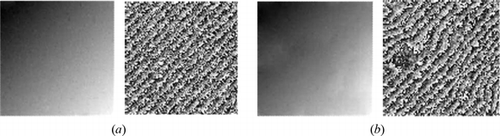 Figure 4 Comparison accuracy of the unwrapped phase results for simulated phase data has noise with standard deviation 0.2 cycle: (a) the unwrapped and rewrapped results obtained by Flynn method, and (b) the unwrapped and rewrapped results obtained by the LC method. The left side in (a) and (b) the phase increases with the increases of brightness.