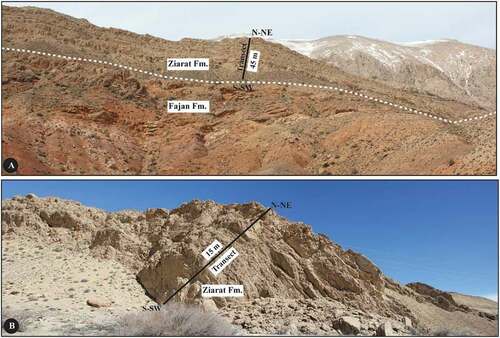 Figure 4. (A) Outcrop view of the Fajan Fm. and Ziarat Fm. in the Mojen section. (B) Panoramic view of the Ziarat Fm in the Kalateh section