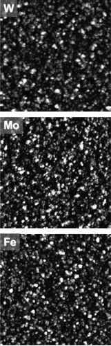 Figure 6. (a) Surface morphologies of cluster-assembled W, Mo and Fe taken by AFM (the side of the images correspond to 1 µm; the thickness of the films is few tens of nm). The morphologies of W, Mo and Fe films look very similar, indicating similar cluster dimensions and similar growth dynamics. From [Citation77]