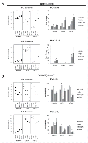 Figure 8. Validation of novel candidate genes associated with specific response of esophageal cancer cells. RNA transcriptome data of 4 selected TOP40 genes is shown as expression levels post 24 h of HDACi/AZA treatment in the left panels. Results of validation by qRT-PCR for relative mRNA levels is shown in the right panels. Shown is the mean ± SEM for 3 independent experiments (right hand). (A) BCL6 (rank #2) and Hes2 (rank #27) were selected as upregulated genes and (B) FAIM (rank #4) and MLKL (rank #9) were selected as downregulated genes. Refer to Table 1 for ranking of the TOP40 gene list.