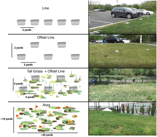 Figure 3. A diagram of the progress of field search stages in CWD. Line: an open, flat grassy field, with Mason jars covered with mesh lids set 2 yards apart in a straight line. Offset Line: jars were set in an offset line 2 yards apart. Tall Grass + Offset Line: jars in an offset line 4 yards apart in tall grass and weeds. Area: jars were randomly buried in a 10-yard by 20-yard field with only the lid visible.