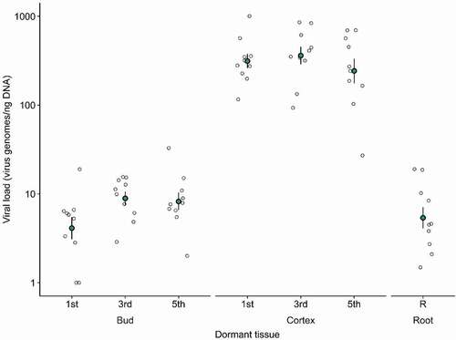 Fig. 3 Mean viral loads in dormant tissues (filled circles) and standard error (line ranges). Hollow circles represent raw measurements from individual plants (n = 70). Raw data points are jittered to minimize overlap for optimal visualization.