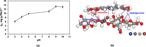 Figure 4. (a) The effect of initial pH of berberine dye adsorption on treated PALF (initial dye concentration of 250 mg L−1, 60 °C and contact time of 60 min) and (b) schematic representation of the interactions between the quaternary berberine ion and a model cellulose unit (4 sugar residues shown) from PALF under mildly basic conditions (pH 9.0).