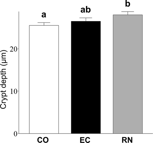 Figure 5. Effect of RNase A-treated EC-12 on crypts in colon tissues of mice suffering from colitis induced by DSS. Depth of crypts in colon section samples was measured under an optical microscope at a magnification of 100×, to evaluate inflammation. Columns with different letters are significantly different (P < 0.05). Mean ± SE, n = 5.