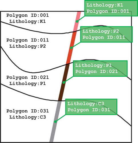Figure 3. Assignment of geological attribute value to segments of section.