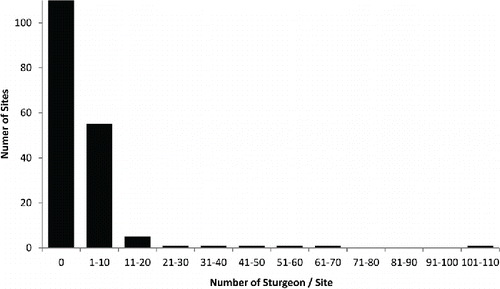 FIGURE 2. The distribution of Atlantic Sturgeon counts per site across all rivers (179 sites) sampled in the Carolina and South Atlantic distinct population segments. Most sites had detections of either no sturgeon or 1–10. The maximum number of sturgeon counted at a single site was 109.