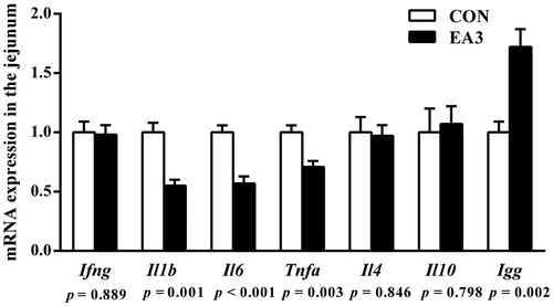 Figure 1. Effect of diet supplemented with 2 g/kg enzymatically treated Artemisia annua L. on the mRNA expressions of cytokines and immunoglobulin G in the jejunum of weaned pigs at 51 days of age. CON: control group, basal diet; EA3: basal diet + 2 g/kg enzymatically treated Artemisia annua L.; IFN-γ: interferon γ; IL-1β: interleukin 1β; IL-6: interleukin 6; TNF-α: tumour necrosis factor α; IL-4: interleukin 4; IL-10: interleukin 10; IgG: immunoglobulin G. All data were analysed using independent t-test and were presented as mean ± SEM (n = 6). A probability level of p < .05 was considered statistically significant.