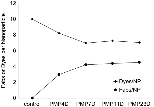 Figure 4. Fab/NP and Dyes/NP conjugation efficiency using different bifunctional PEG linker (PMP4D, PMP7D, PMP11D and PMP23D) at Fab/azide feed molar ratio 2.