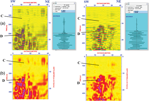 Figure 7. (a) migrated GPR profiles (001, 002) at Zone (4) show anomaly (D) at distance 11 m, depth about 12 m (b) its envelope attribute shows coherent anomaly at distance 11 m and depth about 12 m.