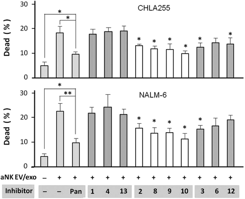 Figure 6. Caspase inhibitors partially block aNK extracellular vesicle-induced cytotoxicity. Neuroblastoma CHLA-255 cells (top panel) or ALL NALM-6 cells (bottom panel) were pre-incubated with different caspase inhibitors (100 μM) for 30 min, prior to the addition of aNK EVs. The AO/PI cytotoxicity assay was performed as described in Materials and methods. The inhibitors alone had no effect on these cells. After 24 h, the percentage of dead cells was calculated by the LUNA Cell Counter. The percentage of dead cells under different treatments are shown (N = 6; *p < 0.05, **p < 0.01). The error bars on the graphs are generated by Excel software, based on 4–8 readings in each test. Independent testing of caspase inhibitors 3, 8, 10, and 12 by Annexin V flow cytometry is shown in Figure S4.