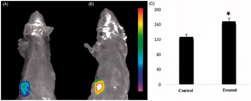 Figure 10. In vivo imaging of mice treated by hPAMAM/DNA NPs (A) or PAMAM–PEGDGA/DNA NPs (B). Images were taken 120 min after NPs injection. (C) Semi-quantitative fluorescence intensity of brain and different organs. p value < 0.05.
