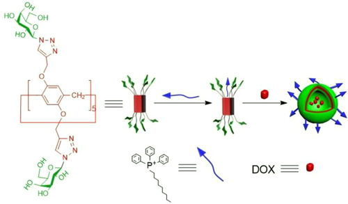 Figure 14 Cartoon representation of constructing dual-target supramolecular vesicles and their properties in efficient drug delivery.Notes: Reprinted with permission from Shang K, Wang Y, Lu YC, Pei ZC, Pei YX. Dual-targeted supramolecular vesicles based on the complex of galactose capped pillar[5]arene and triphenylphosphonium derivative for drug delivery. Isr J Chem. 2018;58:1205–1209.Citation49; © 2018 Wiley‐VCH Verlag GmbH & Co. KGaA, Weinheim.