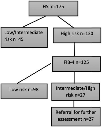 Figure 6. Screening for steatosis and advanced fibrosis in this cohort of 350 patients with type 2 diabetes mellitus according to the proposed screening algorithms from the European Association for the Study of Obesity, Diabetes, and the Liver. Note: HSI is used for assessing risk of steatosis and thereafter FIB-4 for advanced fibrosis in appliable patients. A theoretical assessment of the results of the proposed screening algorithm from the European Association for the Study of Obesity, Diabetes, and the Liver. HSI: Hepatic Steatosis Index; FIB-4: fibrosis-4.