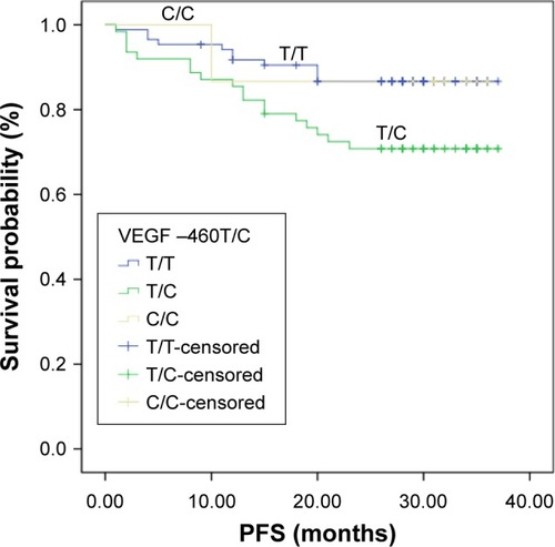 Figure 2 Influence of VEGF –460T/C genotypes on PFS.