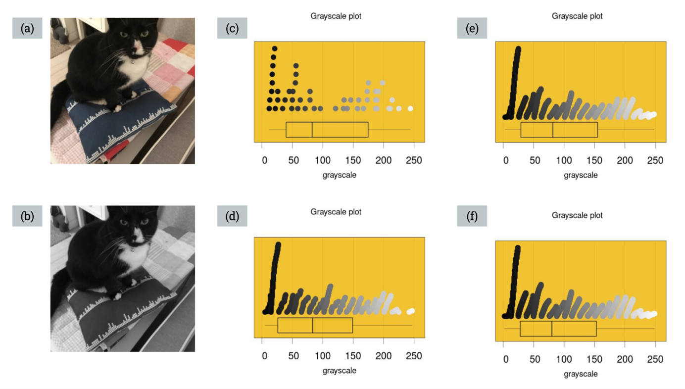 Figure 4. The color and grayscale photos used for the demonstration and examples of the four grayscale distributions generated using increasing sample sizes