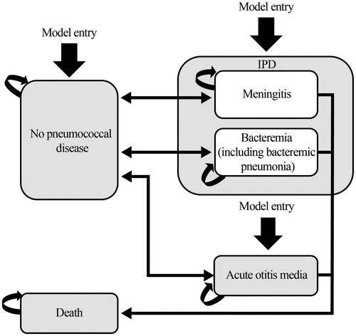 Figure 1. Markov pathway. Abbreviations. AOM, acute otitis media; IPD, invasive pneumococcal disease.