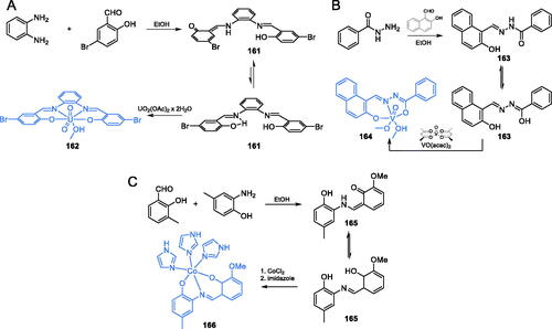 Scheme 34. Syntheses of: (A) uranyl(VI) complex; (B) vanadium(V) complex; (C) cobalt(II) complex with antimicrobial activity, according to Ebrahimipour et al.Citation113–115