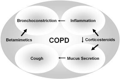 Figure 5 Concept of the use of combined inhaled corticosteroids and betamimetics. While betamimetics target the symptom of bronchoconstriction corticosteroids should be beneficial in targeting inflammation and mucus secretion and thus abolishing further symptoms such as mucus-induced cough and airflow limitation.