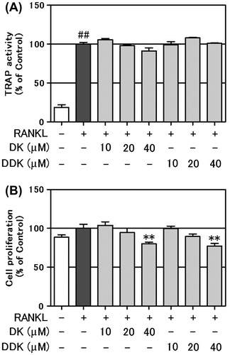 Fig. 6. Effect of DK and DDK on osteoclastogenesis.