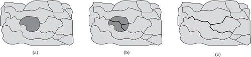 Figure 1. By applying a split operator, a polygon can be fairly distributed among its neighbours. (a) Polygon to be split. (b) New boundaries. (c) Result of split operation.