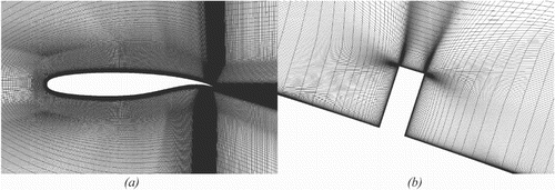 Figure 2. Flow field mesh division: (a) grids around the airfoil and (b) grids around the microtab.