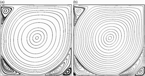 Figure 6. Streamlines in the two-dimensional cavity flow at for: (a) Case (I); (b) Case (III).