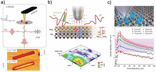 Figure 14. (a) Schematics of the experimental set-up for ultrafast THz s-SNOM from Ref. [Citation213] used to measure THz nano-movie frames of nanowire photoexcitation (maps at the bottom), using NIR (1.56 m) pump pulses and multi-THz probe pulses, focused onto the atomic force microscope (AFM) tip of a s-SNOM, detecting the scattered electric near field by EOS or with a MCT photodiode to perform FTIR spectroscopy; (b) Schematic of OPTP near-field experiments on a WS2/WSe2 vdW heterostructure interrogating photo-generated e–h pairs (blue and red spheres) using a THz probe pulse, detected as a function of the pump–probe delay tp, see Ref. [Citation214], together with a schematic of the type-II band alignment of the heterostructure and the tunneling of charge carriers through the vdW gap. The map shows the magnitude of the pump-induced changes in characteristic lifetime . (c) Ultrafast THz polarization nanoscopy of monolayer and bilayer to study exciton Mott transition from Ref. [Citation179], together with the carrier density dynamics in bilayer WSe2 for increasing pump fluence, extracted from the peak of the pump-induced change to the THz scattered field.