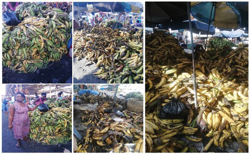 Figure 3. Uncontrolled plantain ripening in a typical satellite market due to poor storage and market environmental conditions.