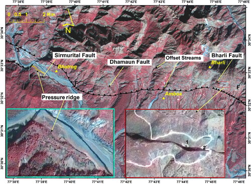 Figure 5. Landsat ETM + pan-sharpened image showing the three active faults. The oblique nature of the TYAF fault system can be easily demarcated in the satellite image. The numbers marked in black are the location of the field photographs displayed in figure 4. The inset (cyan rectangle) shows the enlarged view of a pressure ridge located at the vicinity of the Sirmurital fault. Similarly, the inset (red rectangle) is the enlarged view of the sag pond near the Bharli fault.