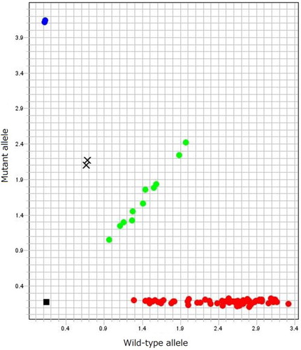 Figure 4. Real-time PCR discrimination plots of wild-type and mutant alleles for the two-base deletions (c.1098_1099delGG) in NAGLU. Dots at lower right (red), intermediate (green) and upper left (blue) parts indicate normal, heterozygous carrier, and affected emus, respectively. X indicates heterozygous carriers with an additional missense polymorphism.