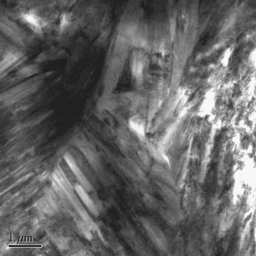 Fig. 4  TEM brightfield photomicrograph showing a mat of fine-grained chlorite in a matrix area of pseudotachylyte.