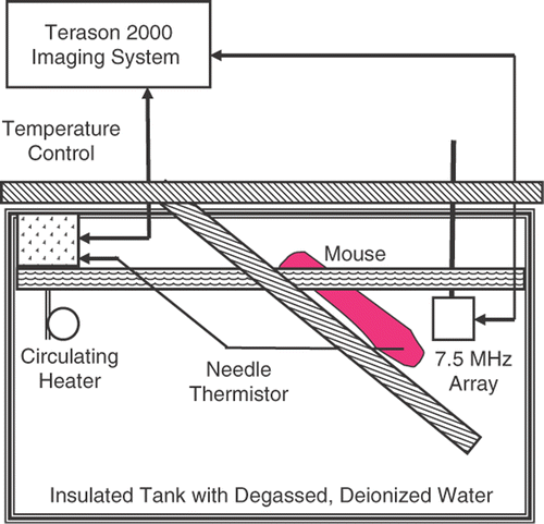 Figure 2. Configuration for automatic heating and ultrasonic imaging of nude mice. Deionized and degassed water was heated to equilibrium under control of the laptop-based imaging system.