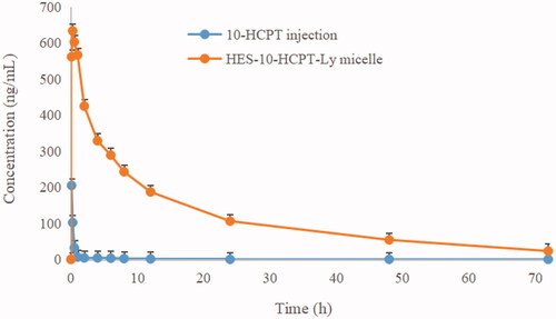 Figure 5. The rat plasma concentration versus time curves of micelle and 10-HCPT injection after intravenous administration.