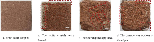 Figure 4. Surface degradation characteristics of stone samples under salt weathering.