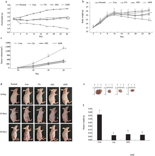 Figure 2. Effect of antler extract (AE) on food intake, body weight, and tumor volume.Normal (phosphate-buffered saline [PBS] 200 μL), control (Con, PBS 200 μL + tumor cells); cisplatin (Cis, 10 mg/kg + tumor cells); antler extract low- and high-dose (AEL and AEH, 200 and 400 mg/kg, respectively plus tumor cells. (a) Food weight, (b) body weight, (c) tumor volume, (d) AE treatment of prostate cancer (PC) xenograft model image, (e and f) Tumor image and weight. a, b, c and d Means with different superscript in the same row are different (p < 0.05).
