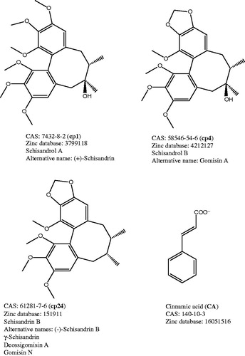 Scheme 1. Chemical structures of compounds cp1, cp4, cp24, and cinnamic acid (CA) employed for docking and molecular dynamic experiments.