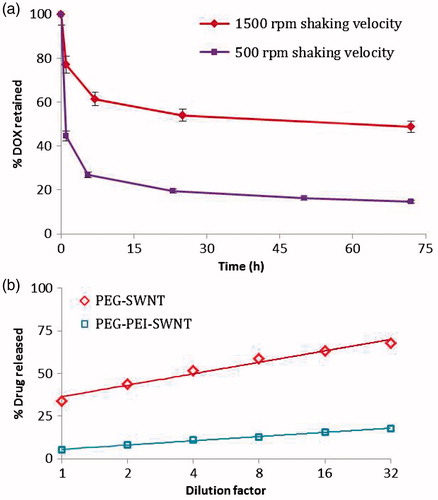 Figure 9. (a) Effect of shaking velocity in the process of doxorubicin loading on the release profile from PEG-PEI-SWNT in saline supplemented phosphate buffer solution pH 5.5 at 37 °C. (b) Dilution effect on doxorubicin release from the modified SWNT in saline supplemented phosphate buffer solution pH 5.5 at 37 °C. The percentages of drug release were plotted vs. dilution factors in a logarithmic scale.