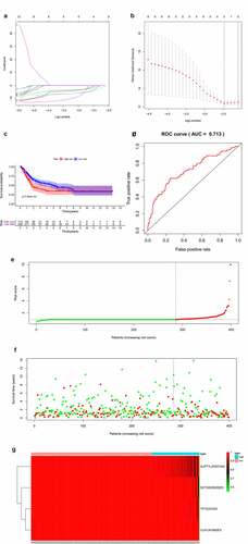 Figure 4. Establishment and assessment of the predict model. (a-b) Lasso regression for OS-SEs screening and removing high correlation genes to prevent over-fitting of the model. (c) Kaplan-Meier survival curves for patients in the low and high subgroups of the predict model demonstrating that risk score could significantly forecast the prognosis of patients with BLCA. (d) ROC curves demonstrating the accuracy of the model (AUC: 0.713). (e) The risk curve of each sample ranking by risk from low to high. (f) The scatter plot showing the trend of change in risk value and the increase in patient mortality as the risk increased and illustrating the clinical status with green and red dots representing survival and death, respectively. (g) The heatmap of expression level of 4 OS-SEs filtered by Lasso regression